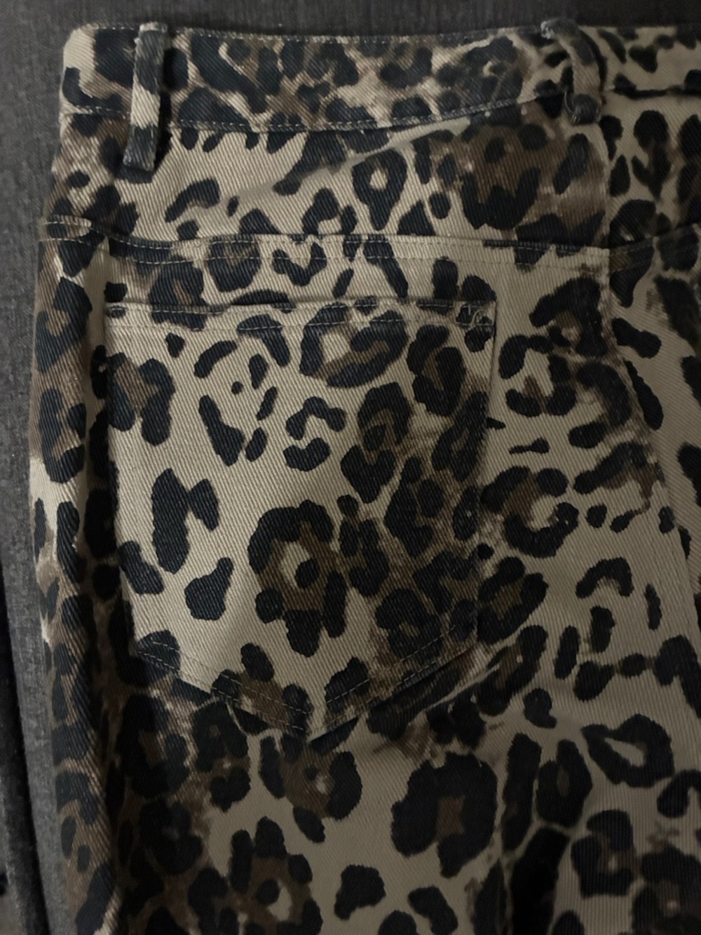 Leopard Print Wide-Leg Pants - Neutral Tones - Picture 6 of 6